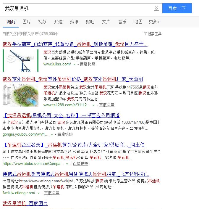 武漢巨力盛世起重機(jī)械有限公司網(wǎng)站建設(shè)案例—武漢盛世互聯(lián)